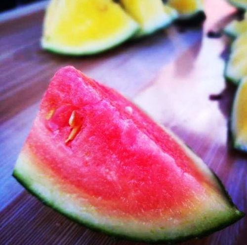 吃瓜船山东,一场美食与文化的盛宴之旅