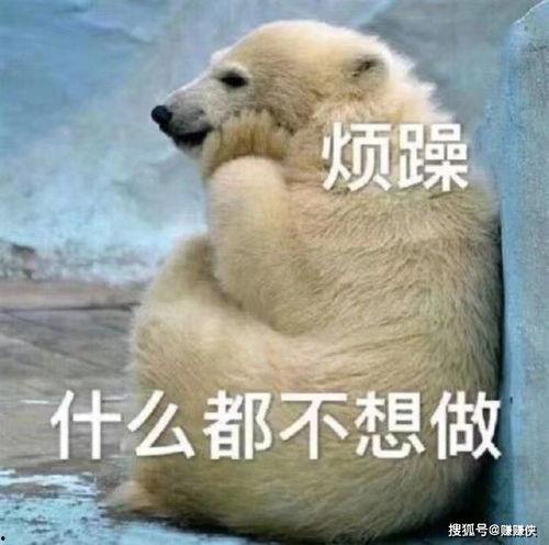 发个吃瓜的表情,揭秘娱乐圈最新热点事件