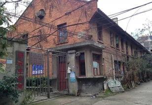 山东最差的网红排名