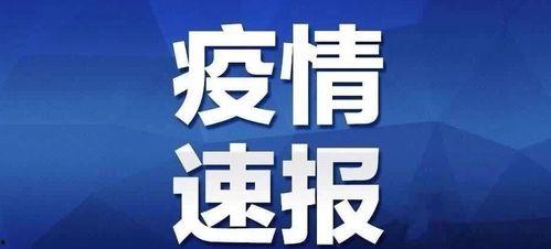 沈阳头条速报官网,沈阳最新动态，一网打尽！