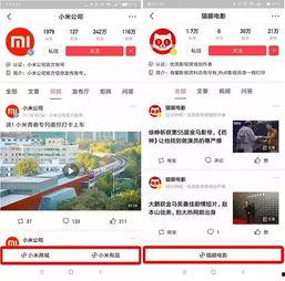 想在头条卖货怎么办,教你轻松打造爆款商品