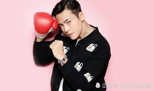 娱乐圈奶狗男明星,青春洋溢的甜蜜魅力