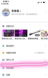 头条问答和视频哪个好,揭秘哪个内容形式更具吸引力