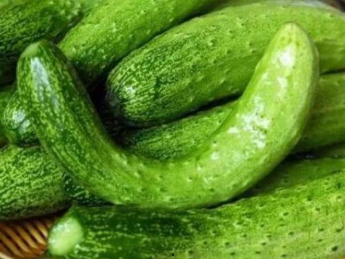 痛风可以吃酸瓜,酸瓜助力健康生活