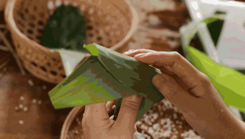 券头条怎么包粽子,传统技艺新体验