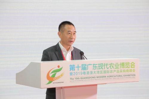 江门赤坎新闻今日头条,聚焦今日热点，探寻赤坎发展新篇章