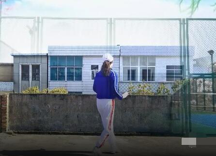 网红背面教学视频下载,热门教程背后的秘密解析