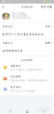 头条认证图片怎么加字,巧妙添加文字打造引人注目的概述文章副标题