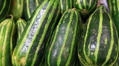 带你吃很多瓜,带你领略娱乐圈的甜蜜瓜果盛宴