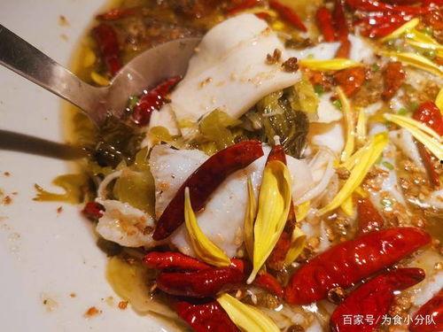 有鱼的网红菜品,揭秘网红菜品的魅力与制作秘诀