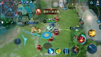 呱呱吃小瓜,一场趣味盎然的夏日盛宴