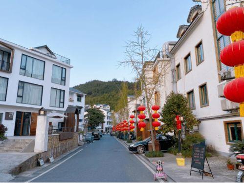 明星在杭州新农村