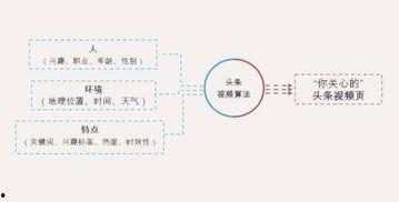 头条号视频推荐数量不对,头条号视频推荐数量不匹配之谜